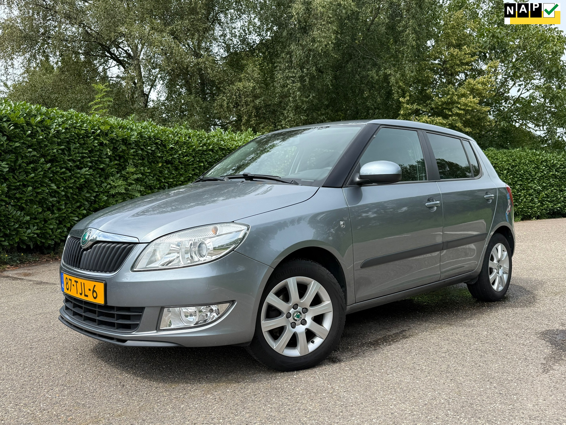 Škoda Fabia 1.2 TSI Ambition | slechts 115.965 km | Clima | Trekhaak | 15" Velgen | 2e Eigenaar | Cruise | 46497294-0.jpg | Auto rijser